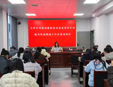 通城县大坪乡：以训促干 推动乡村振兴工作提质增效