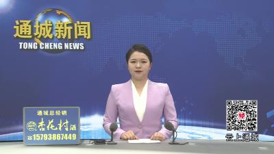 视频-通城：春节期间消费维权“全守护” 市场监管交出亮眼“成绩单” 
