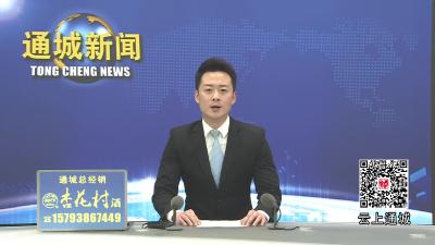 视频-号取一个 事办齐全！通城政务服务跑出“加速度”