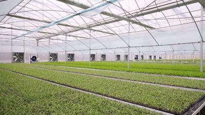 【春耕备耕正当时】惠农助耕！通城403吨新型地膜直达田间地头  