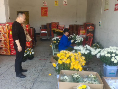 通城县石南镇开展清明节前安全专项检查