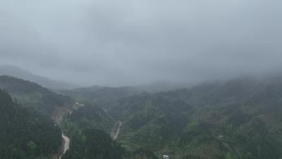 视频-通城：珍稀植物水晶兰再现山林 被称“花中玉女”