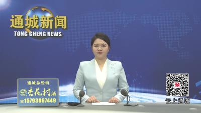 视频-通城县“清洁家园提升年”工作推进会召开 