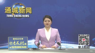 视频-通城县人大常委会组织开展职业教育“一法一办法”执法检查 