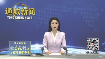 视频-24小时“数字哨兵”上岗！通城烟花爆竹监管迈入AI时代 