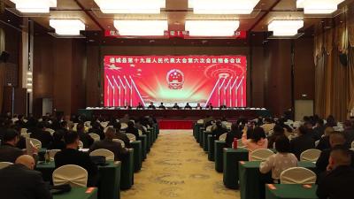 视频-通城县第十九届人民代表大会第六次会议举行预备会议