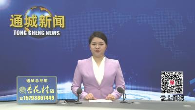 视频-通城县召开2026年重点工作部署会 