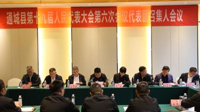 通城县第十九届人民代表大会第六次会议举行代表团召集人会议  