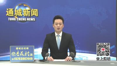 视频-通城县第十九届人大常委会第二十八次会议召开