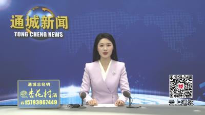 视频-【春耕备耕正当时】通城县关刀镇：数控大棚“绘春景” 智慧农业“谱富曲” 