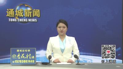 视频-通城县召开2026年一季度县级层面整治形式主义为基层减负专项工作机制会议