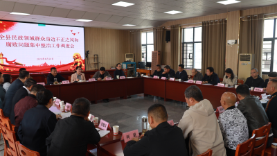 全县民政领域群众身边不正之风和腐败问题集中整治工作调度会议召开  