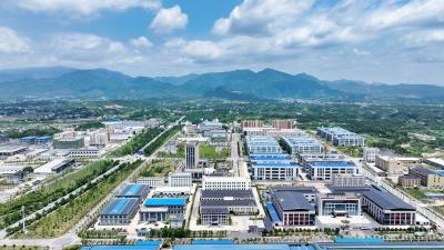 春归隽邑创业忙 湖北通城：一季度返乡创业工作实现“开门红”