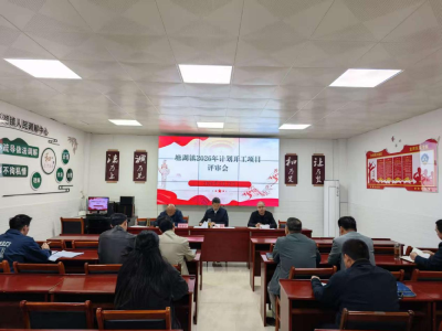 通城县塘湖镇召开2026年计划开工项目评审会