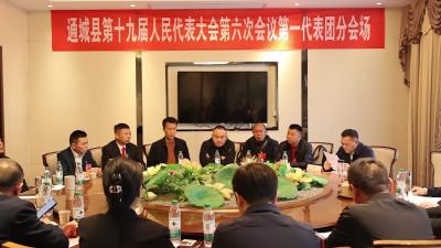 视频-通城县第十九届人民代表大会第六次会议各代表团酝酿候选人名单草案 推荐大会监票人