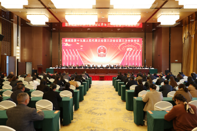 通城县第十九届人民代表大会第六次会议闭幕 黄建平主持大会并讲话 唐雷当选通城县人民政府县长