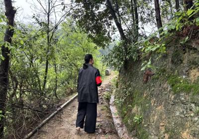 珍稀水晶兰现身通城五里镇  生态保护成效绘就绿色答卷