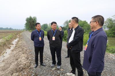  【人大代表在行动①】通城：千名人大代表集中开展深化“聚力支点建设·共建隽秀通城”代表行动