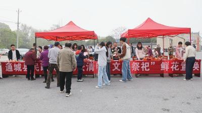 通城：鲜花凝思念 文明润清明