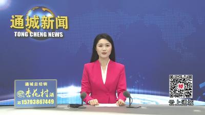 视频-市人大代表到通城县马港镇参加“聚力支点建设·共建平安马港”代表行动