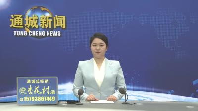 视频-黄建平主持召开县委常委会2026年第11次会议 