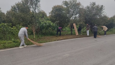 通城县大坪乡开展第十一次“清洁家园”行动  干群同心扮靓和美瑶乡