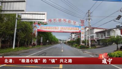 通城县北港镇：“粮酒小镇”的“镇”兴之路  