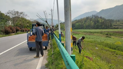 通城县五里镇左港村善缘谷：道路植绿添新景 生态乡村焕生机
