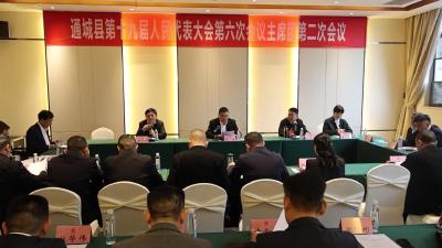 视频-通城县第十九届人民代表大会第六次会议举行主席团第二次会议