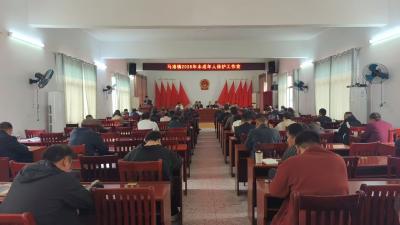 通城县马港镇召开2026年未成年人保护工作会