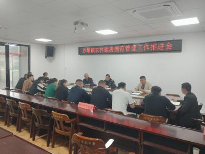 严守耕地红线 规范建房秩序 | 通城县沙堆镇召开农村建房规范管理工作推进会