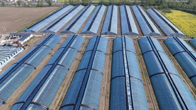 【春耕备耕正当时】通城县关刀镇：数控大棚“绘春景” 智慧农业“谱富曲”