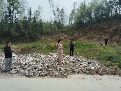 通城县石南镇：深入开展建房占用林地核查工作 筑牢生态保护防线