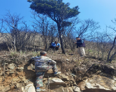 春季护绿守生态 保护名木促发展 | 湖北药姑山省级自然保护区开展松材线虫病专项防治 