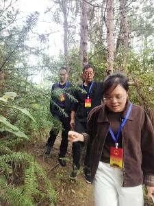 通城县马港镇：人大代表齐发力 禁种铲毒护净土