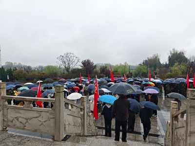 缅怀先烈寄哀思 红色薪火永相传 | 通城县石南镇开展清明祭扫烈士墓活动