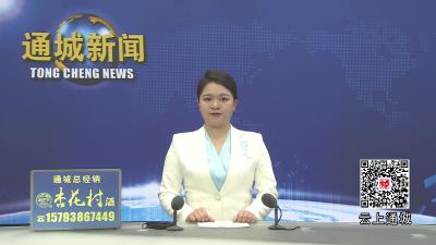 视频-咸宁市委统战部、通城县委统战部联合开展支部主题党日暨“寻美·咸宁”活动 