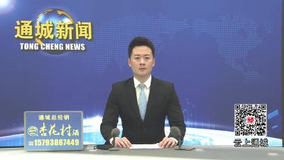 视频-通城县召开“两河四岸”夜经济发展项目专题会