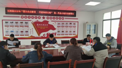 通城县石南镇民兵代表的“双重”履职路