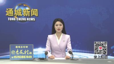 视频-通城县召开科技创新、招商引资暨优化营商环境会议  