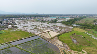 【春耕备耕正当时】通城：科技助农“空地协同” 智慧春耕提质增效 