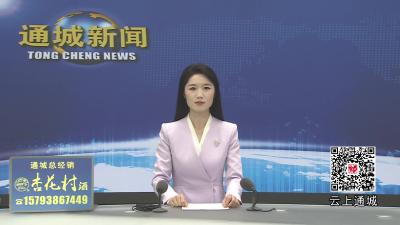 视频-通城县第十九届人民代表大会第六次会议举行代表团召集人会议