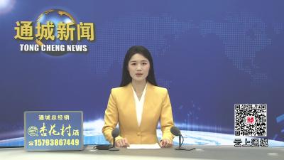 视频-通城县领导到县委党校为2026年春季主体班学员讲授“开班第一课” 