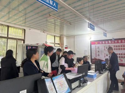 通城县石南镇：深入杨山村指导党建工作 强基固本促提升