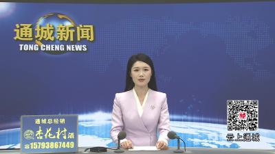 视频-通城县第十九届人民代表大会第六次会议闭幕 黄建平主持大会并讲话 唐雷当选通城县人民政府县长