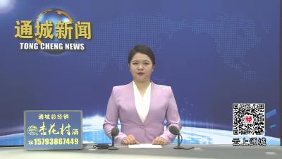 视频-市政协调研组来通城县开展“强化数据支撑 赋能咸宁现代化产业体系建设”专题调研