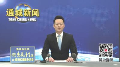 视频-以花寄哀思 新风润清明｜通城县关刀镇倡导绿色文明祭扫