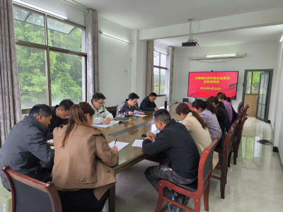 通城县石南镇召开村级纪检委员业务培训会