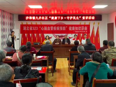 通城县红十字会：“健康下乡，守护民生”进村公益宣讲活动走进沙堆镇