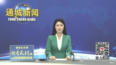 视频-通城“两河四岸”夜经济发展项目加速推进 绘就城市滨水新画卷